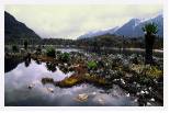 Lake on Mt Speke * 5323 x 3503 * (15.75MB)